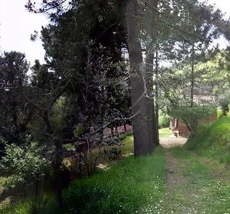 Podere San Pietro Agroturismo *